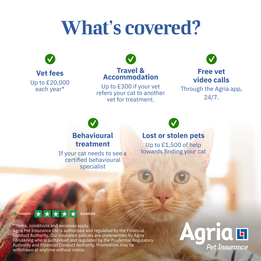Agria Pet Insurance Facebook ad: Use code LOVE for a FREE luxury hamper.
