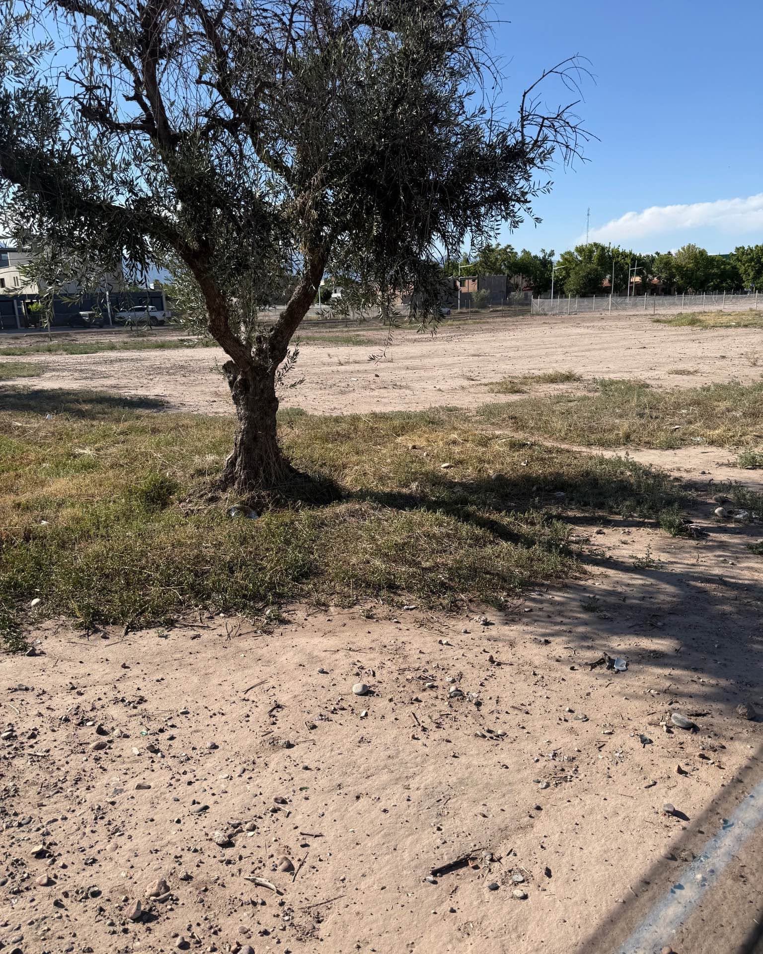 César Javier Lara Facebook ad: Lotes en el Centro de Luján. Escrituración inmediata…