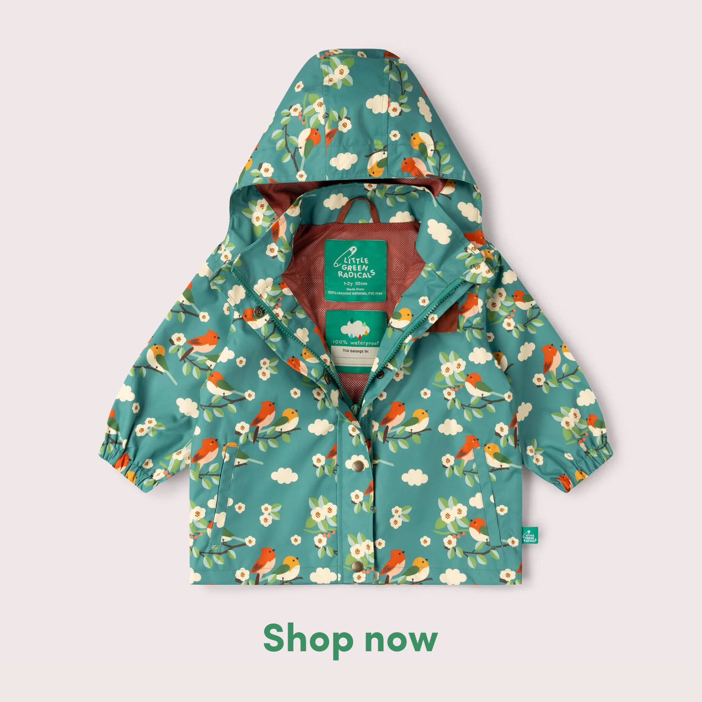 Little Green Radicals Facebook ad: New Term - New Adventures
