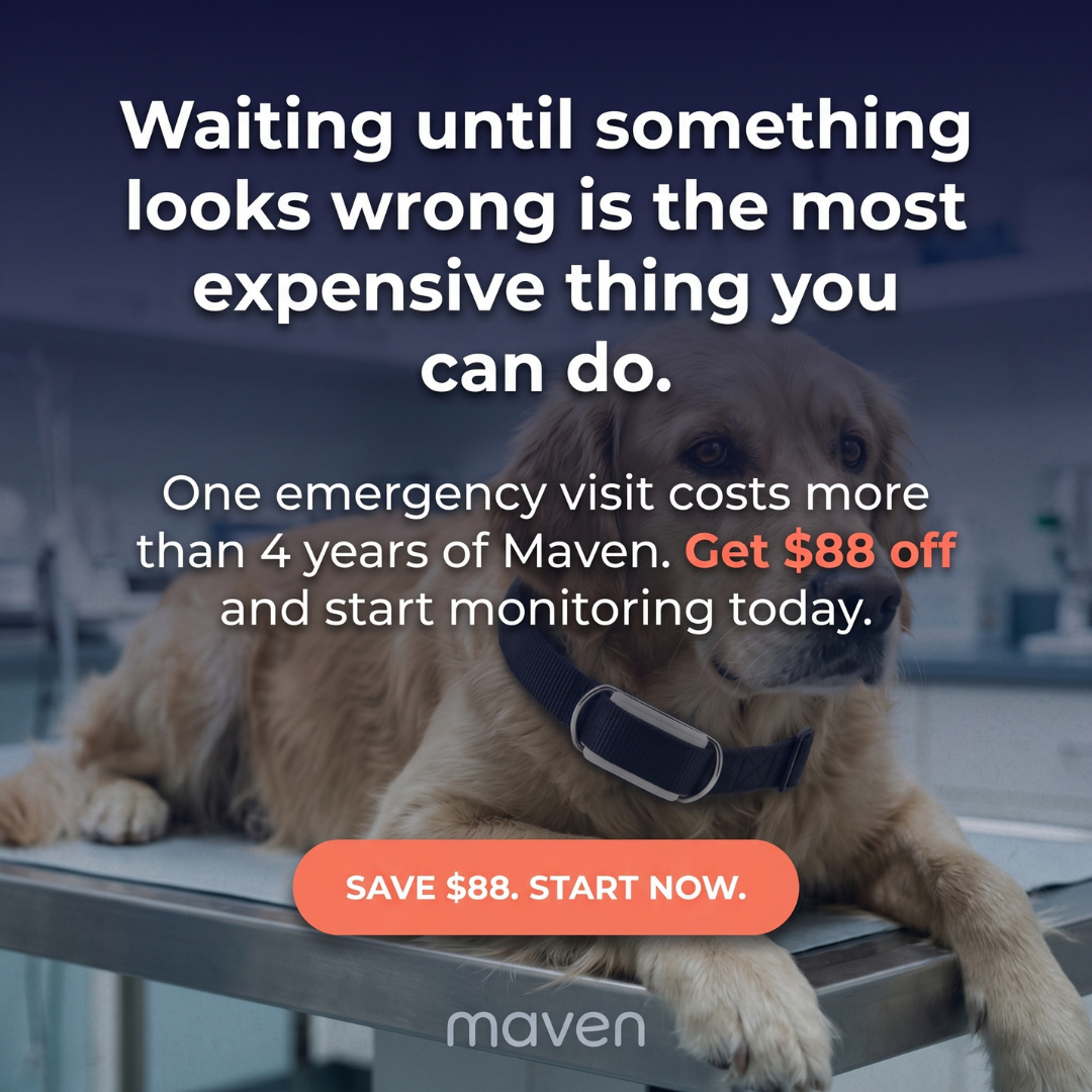 Maven Pet Facebook ad