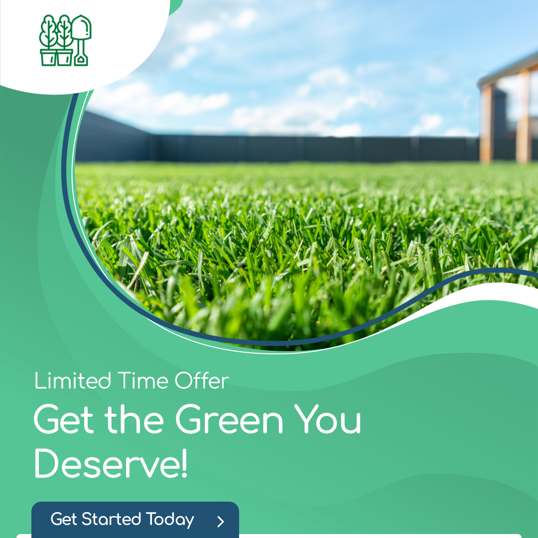 Scape-Abilities Facebook ad: Transform Your Lawn with Scape-Abilities's Lawn Treatments!