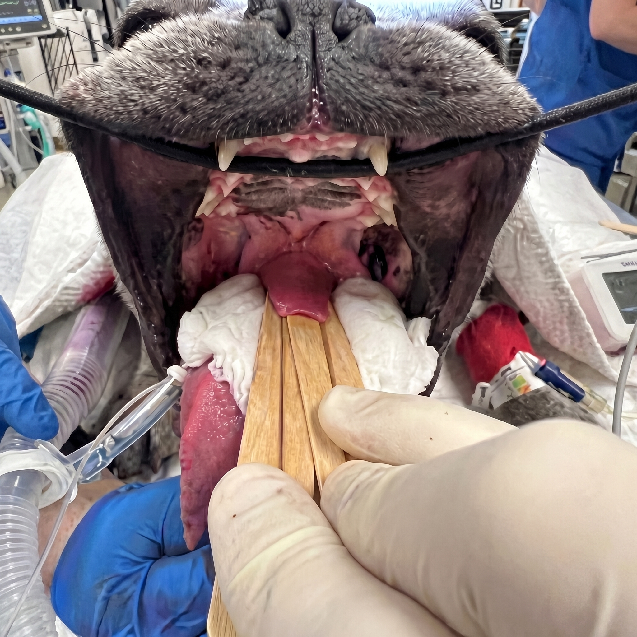 Dr. Sarah Mitchell Facebook ad