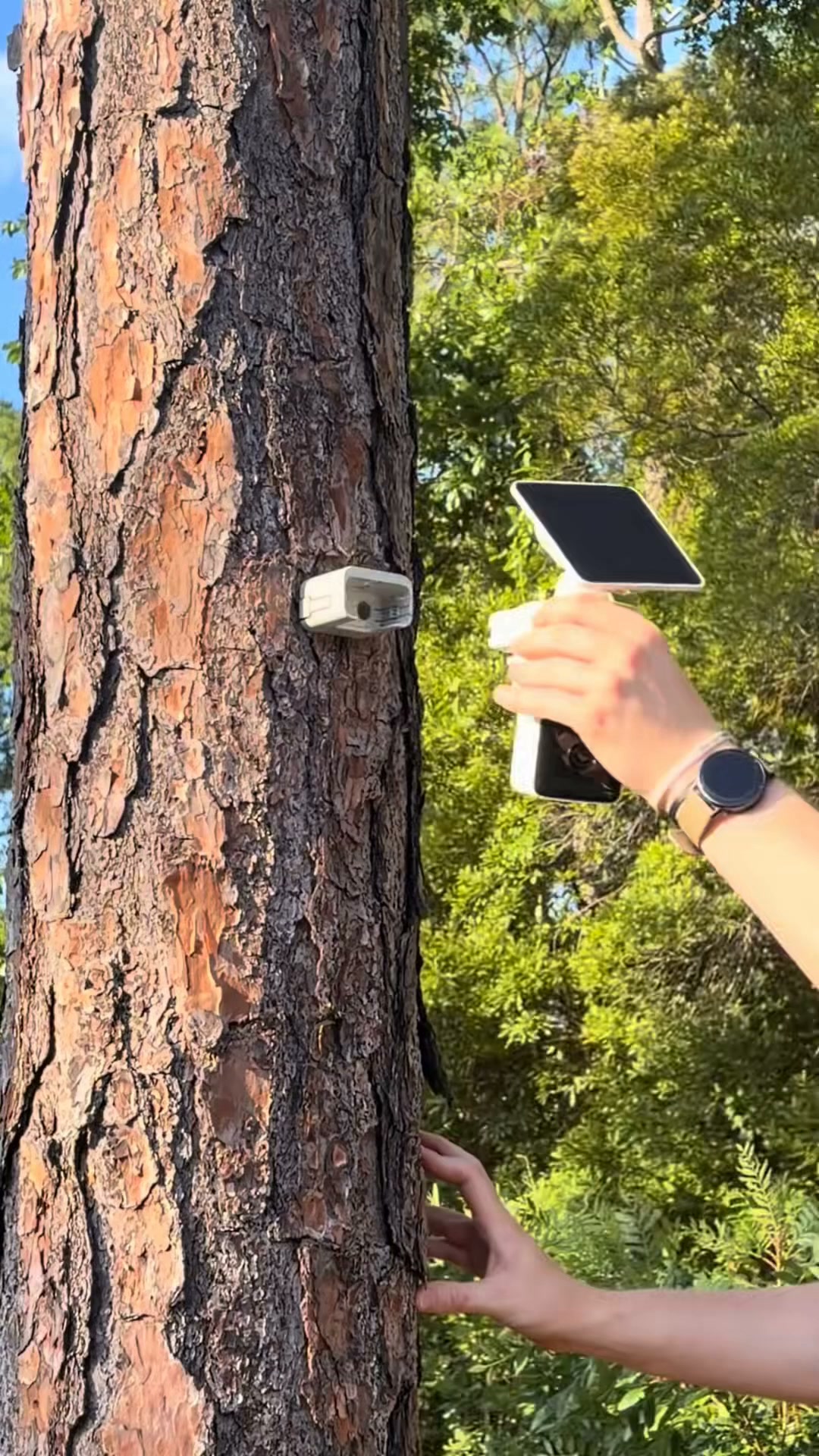 Wyze Facebook ad: Never Recharge Again-Solar Tracks!