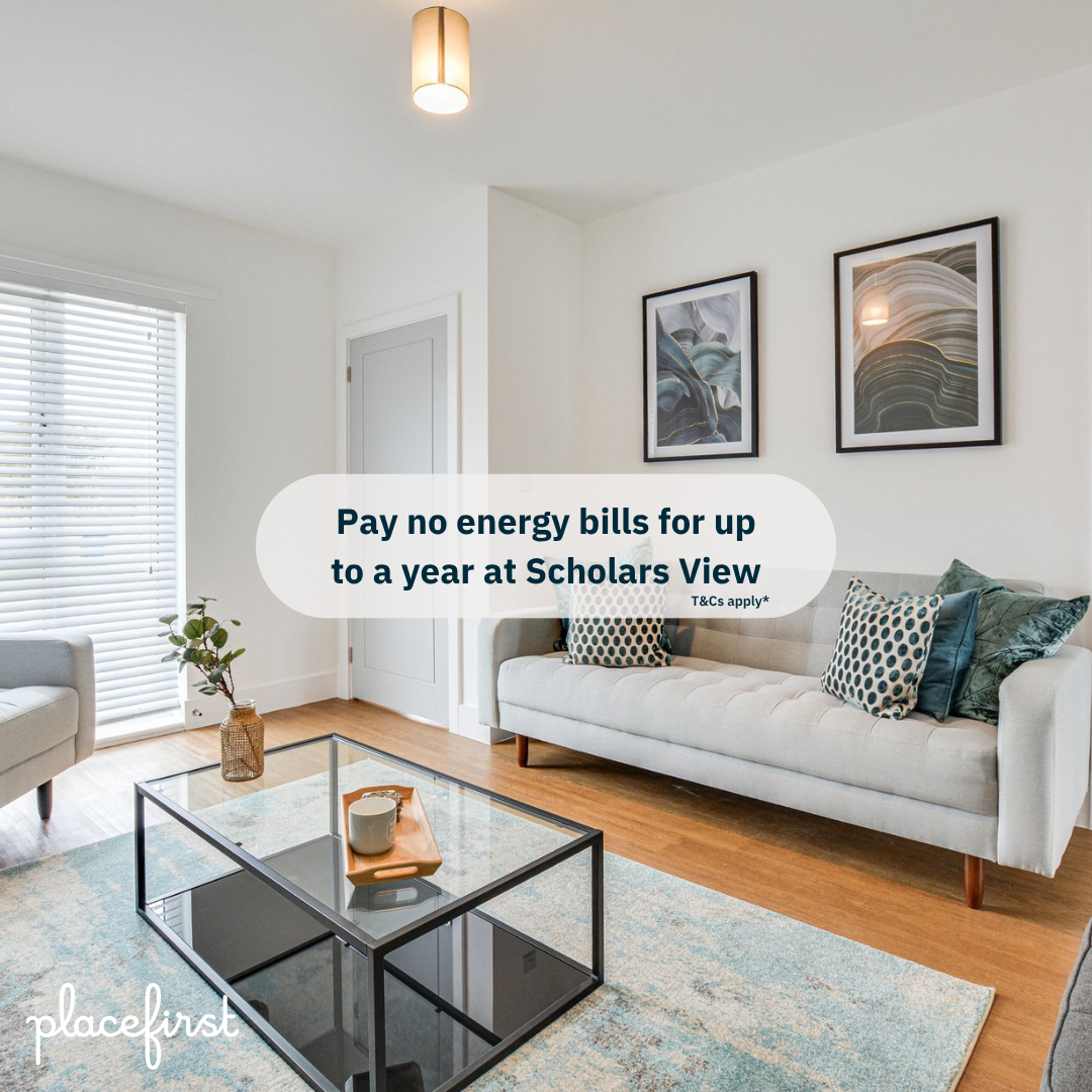 Chronicle Live Partners Facebook ad: Free energy bills for up to a year*