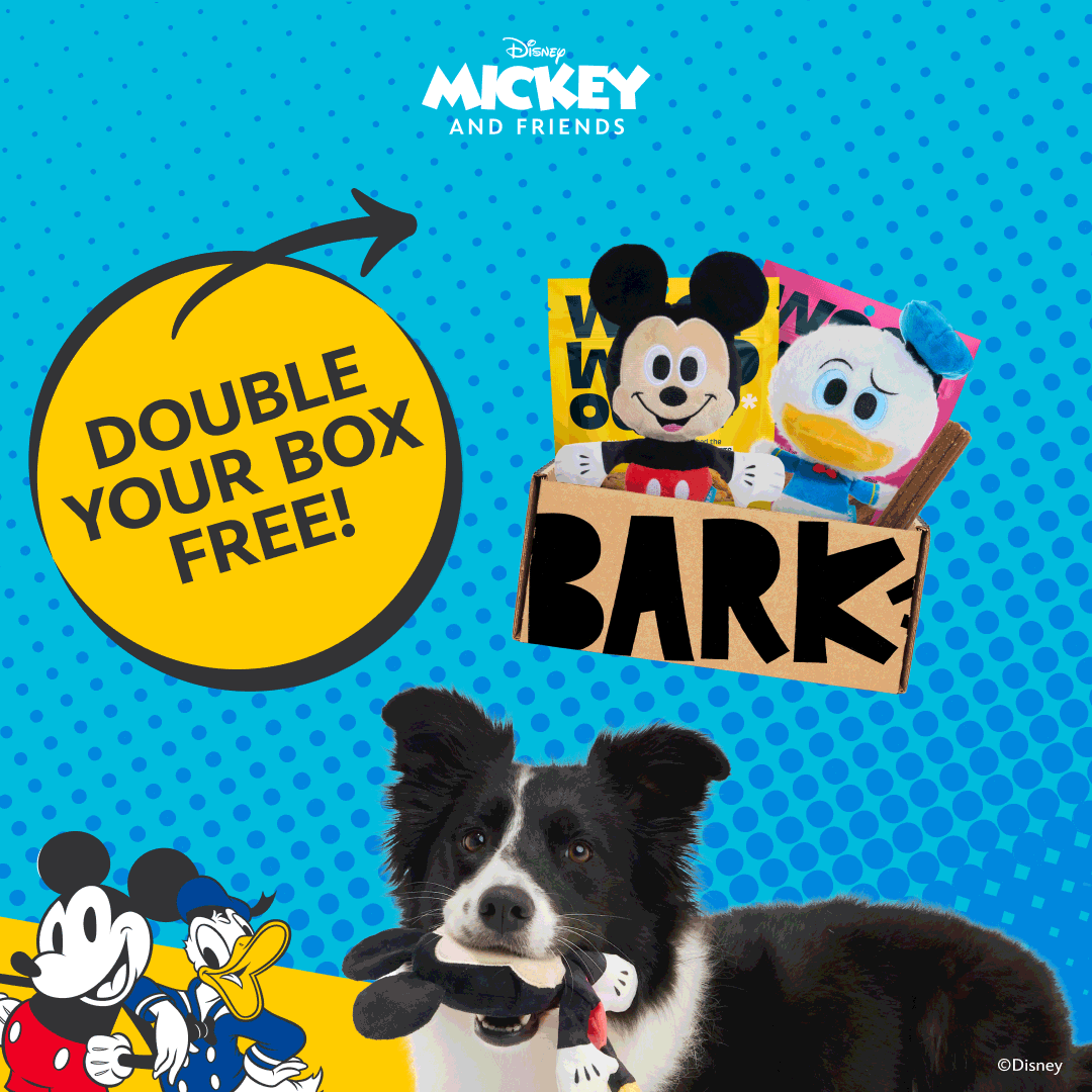 BarkBox Facebook ad