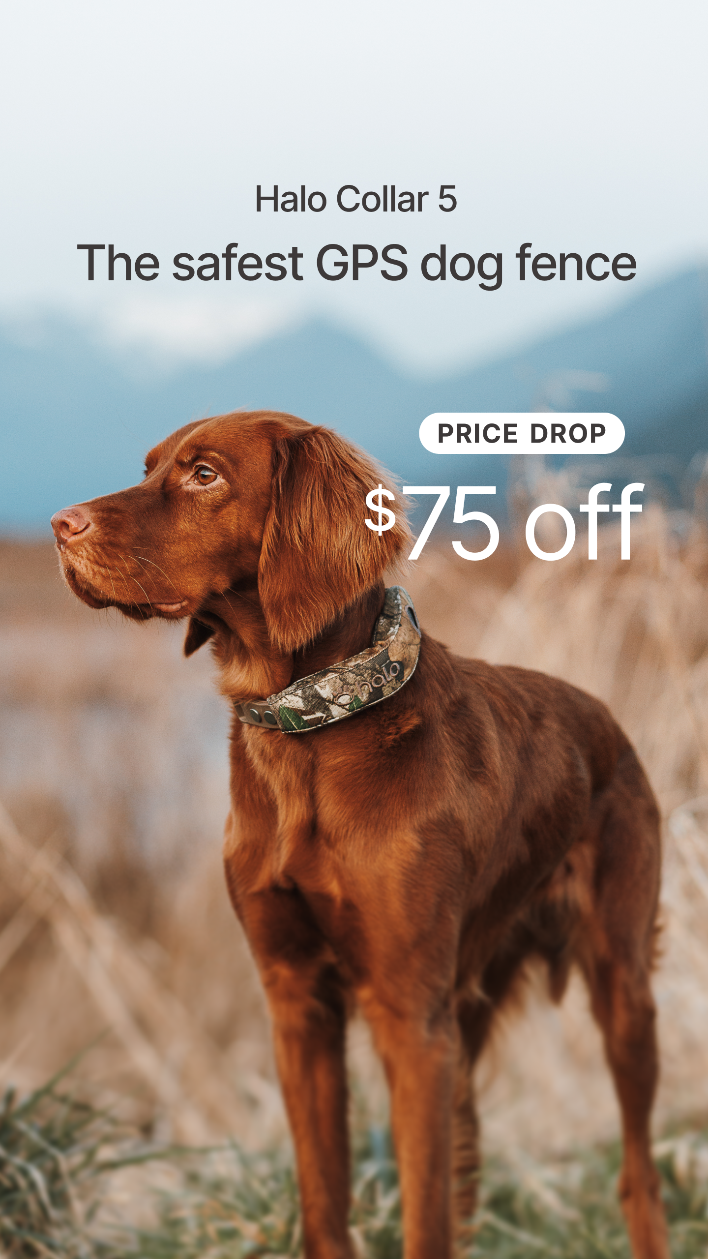 Halo Collar Facebook ad