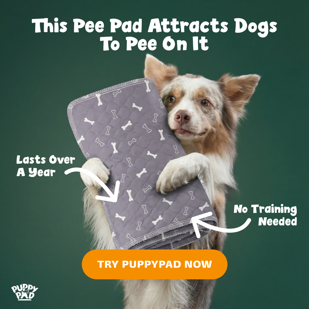 PuppyPad Facebook ad