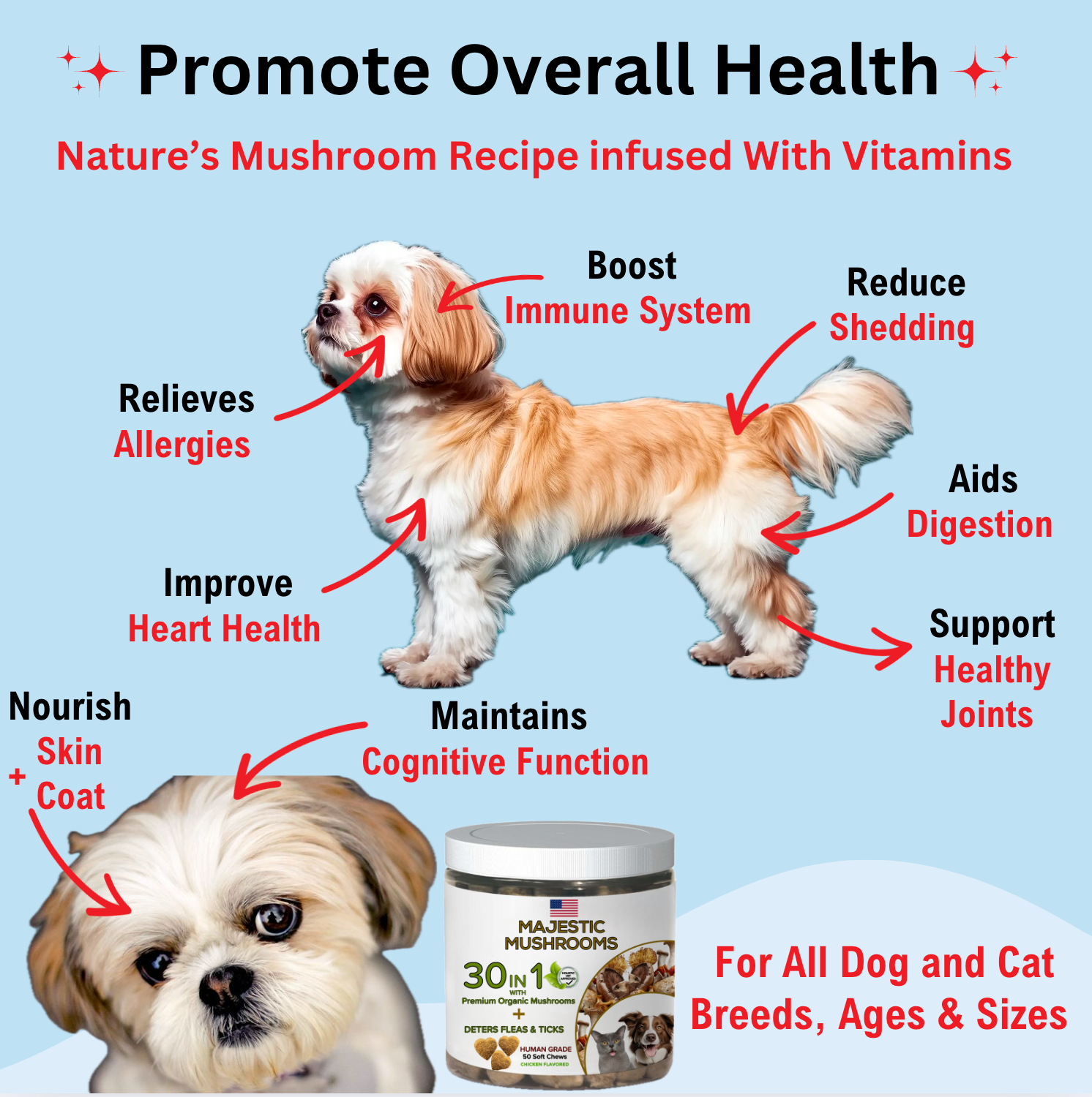 Pets Are Family Facebook ad