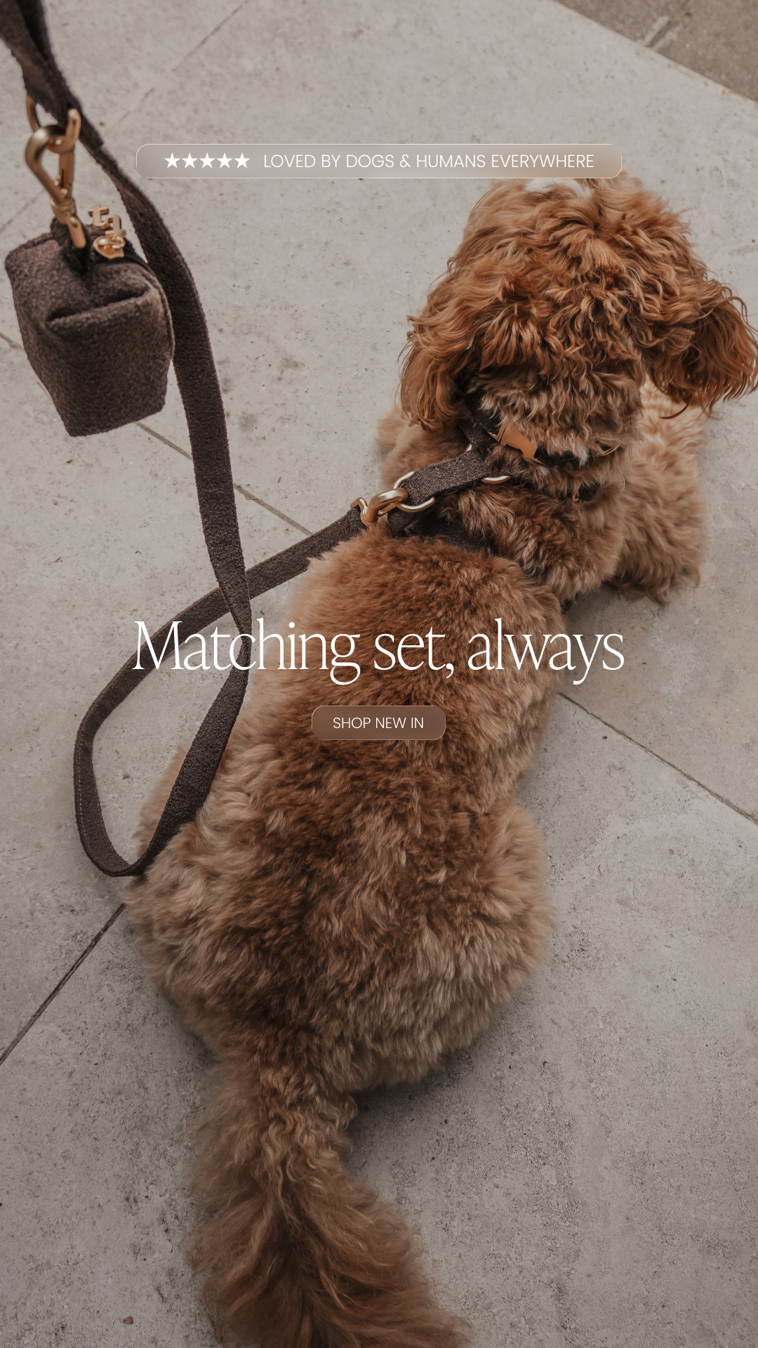 By Teddy Facebook ad