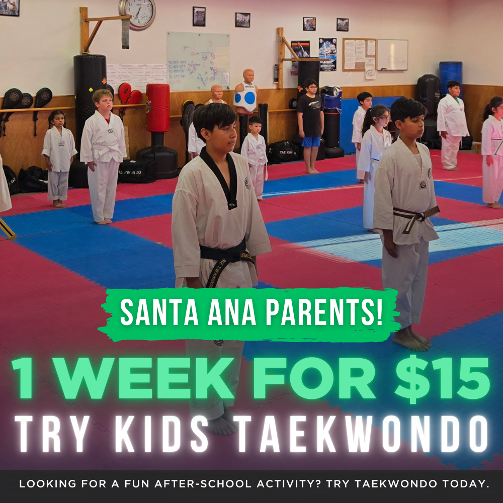 Ace Taekwondo Academy USA Facebook ad from Nov 28, 2025