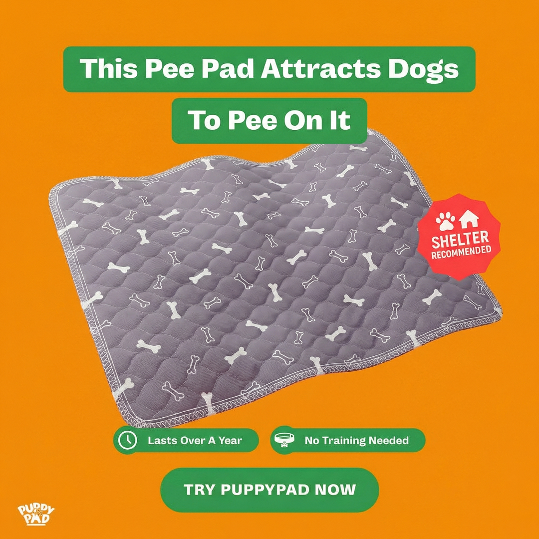 PuppyPad Facebook ad