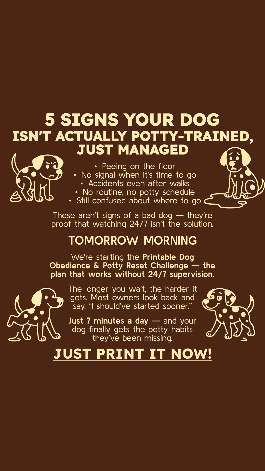 PawChamp Facebook ad
