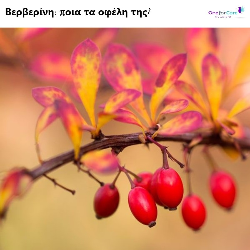 One for Care Νίκαια Facebook ad
