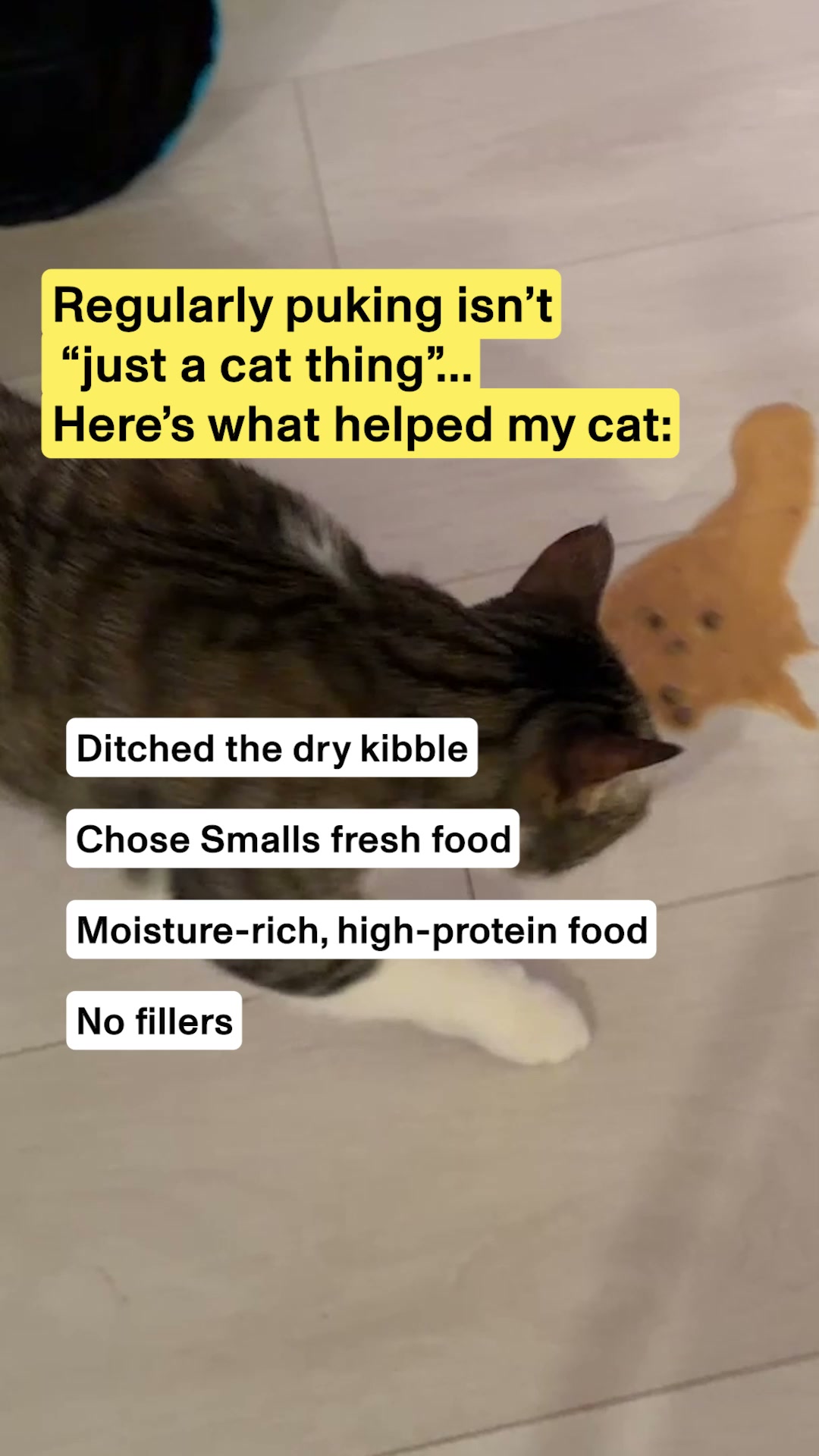Smalls Facebook ad: Human-Grade Fresh Cat Food