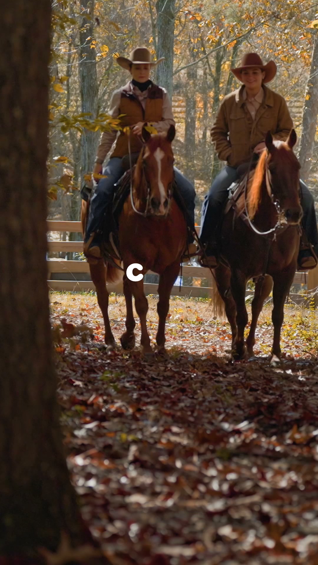Chewy Facebook ad: Seasonal horse care