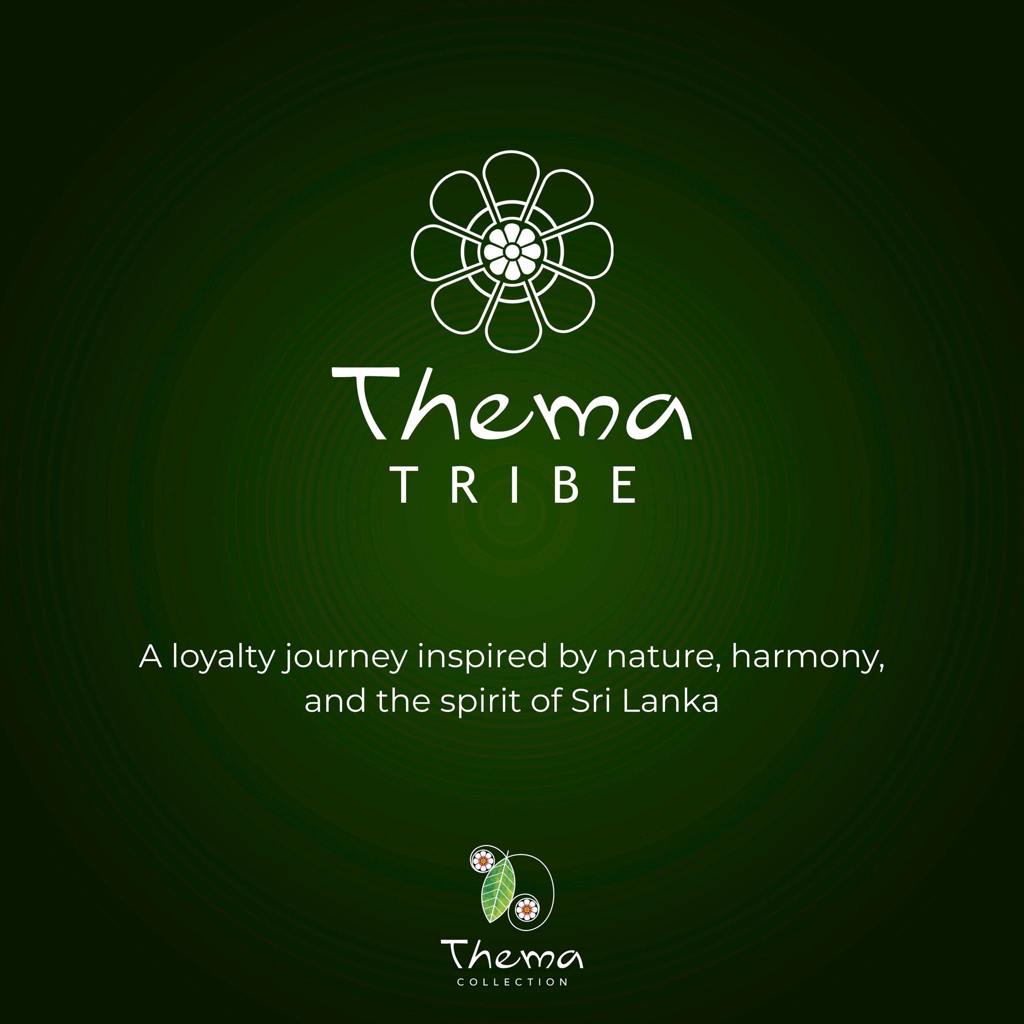 Thema Collection Facebook ad: Introducing Thema Tribe!