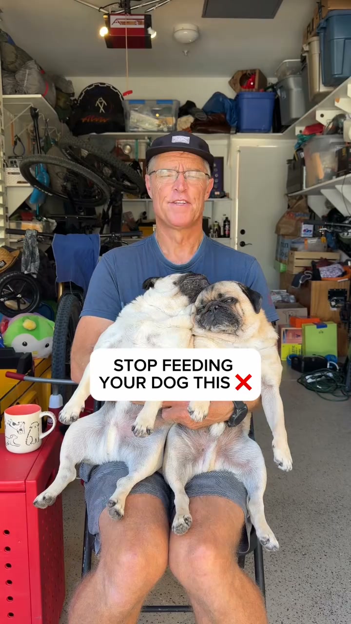 Spot and Tango Facebook ad: UnKibble, Try for 50% Off Today