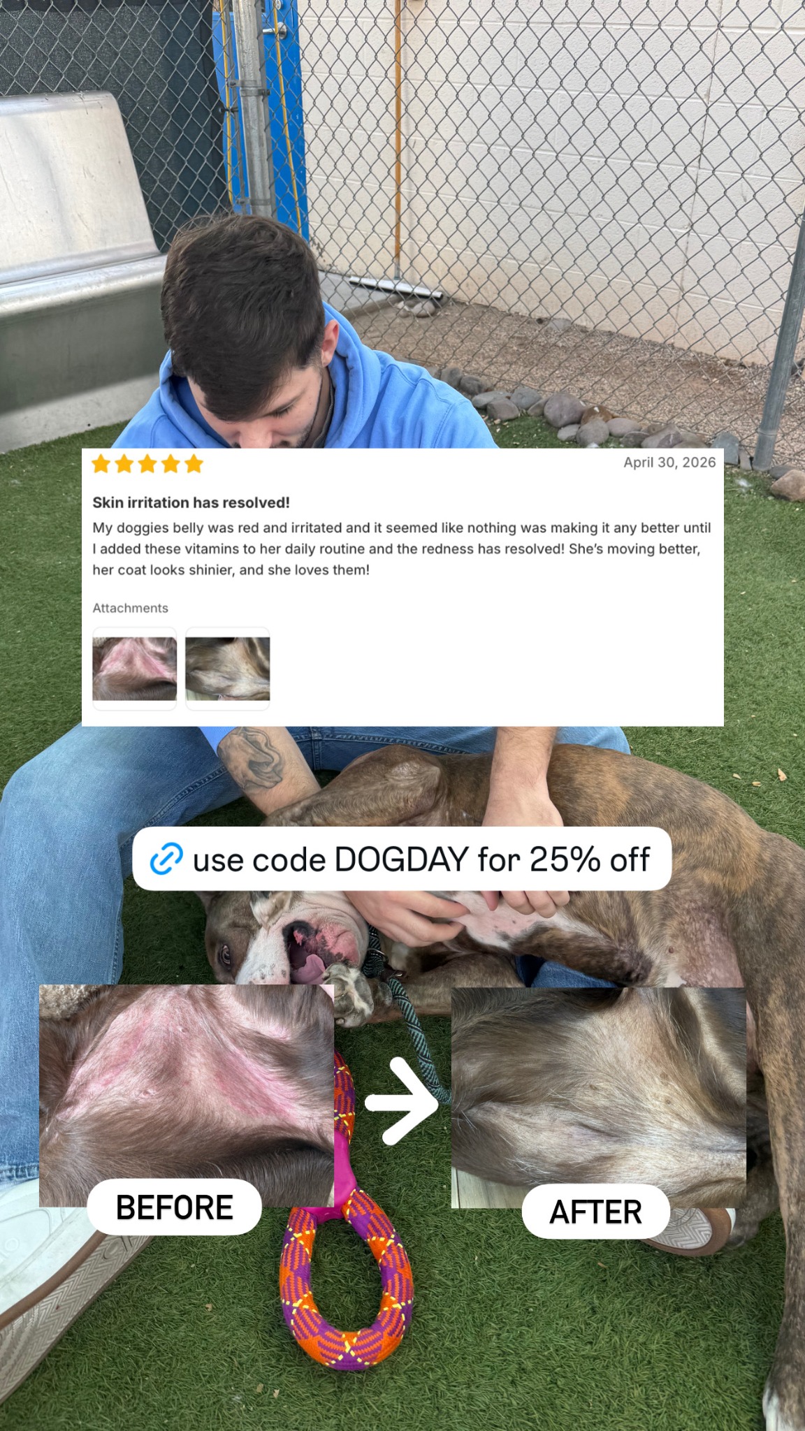 Dog is Human Facebook ad