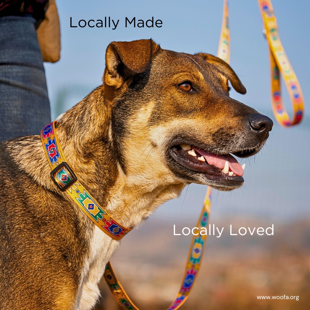 Woofa Pet Products Facebook ad