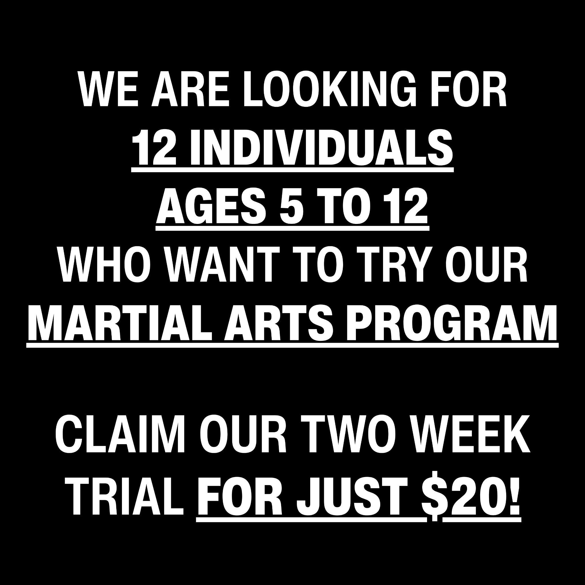 Orangevale Academy - Family Taekwondo Facebook ad