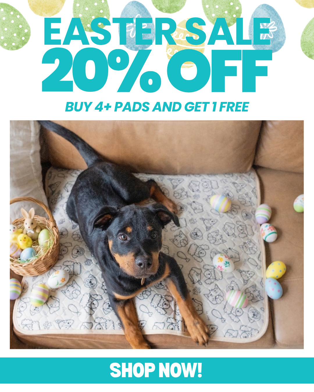 Potty Buddy Facebook ad