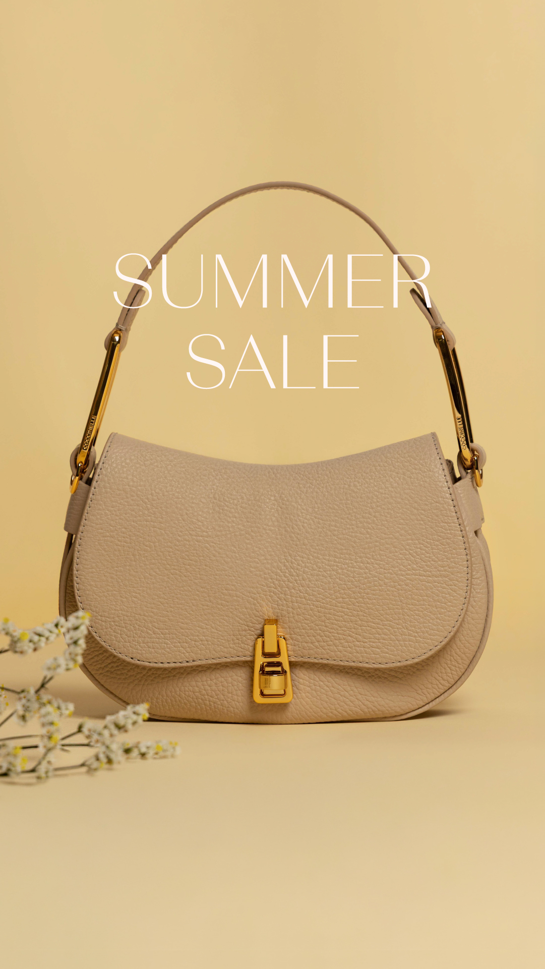COCCINELLE Facebook ad