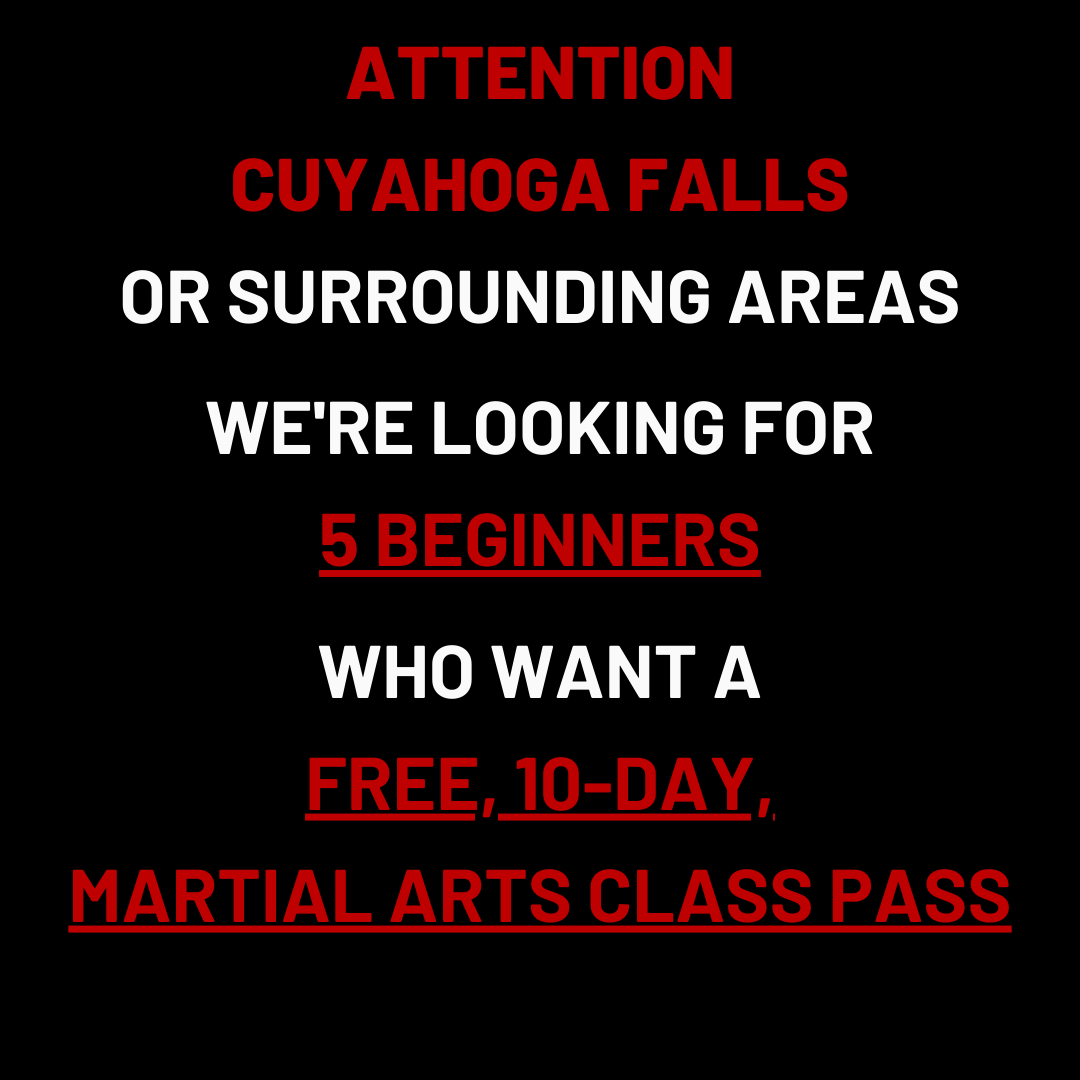 World Kickboxing Academy Facebook ad: Want a FREE 10-Day, Martial Arts Class Pass?