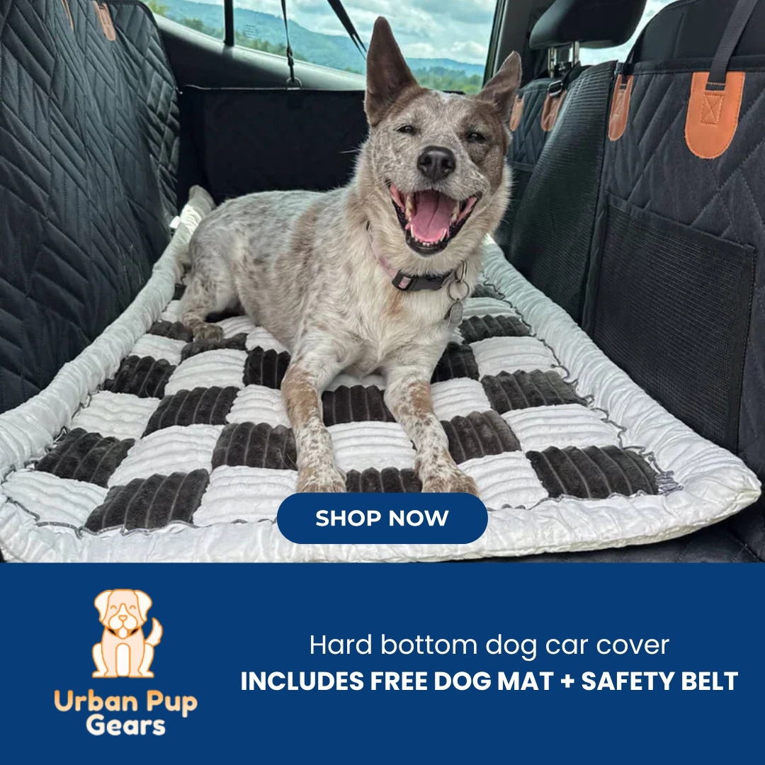 Urban Pup Gears Facebook ad: Get FREE Dog Mat + Belt