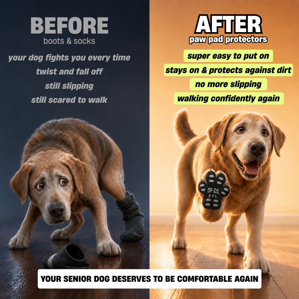 Dog Friendly Co. Facebook ad