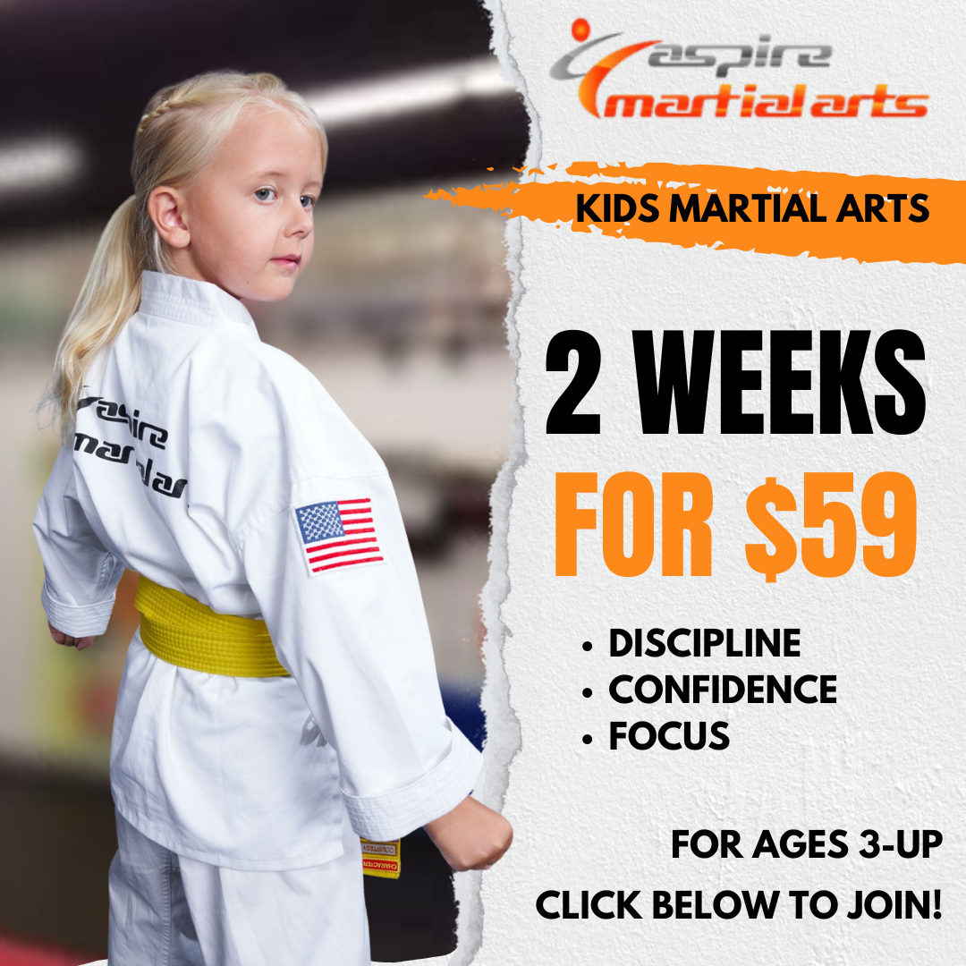 Aspire Martial Arts Facebook ad: Kids Martial Arts Trial!