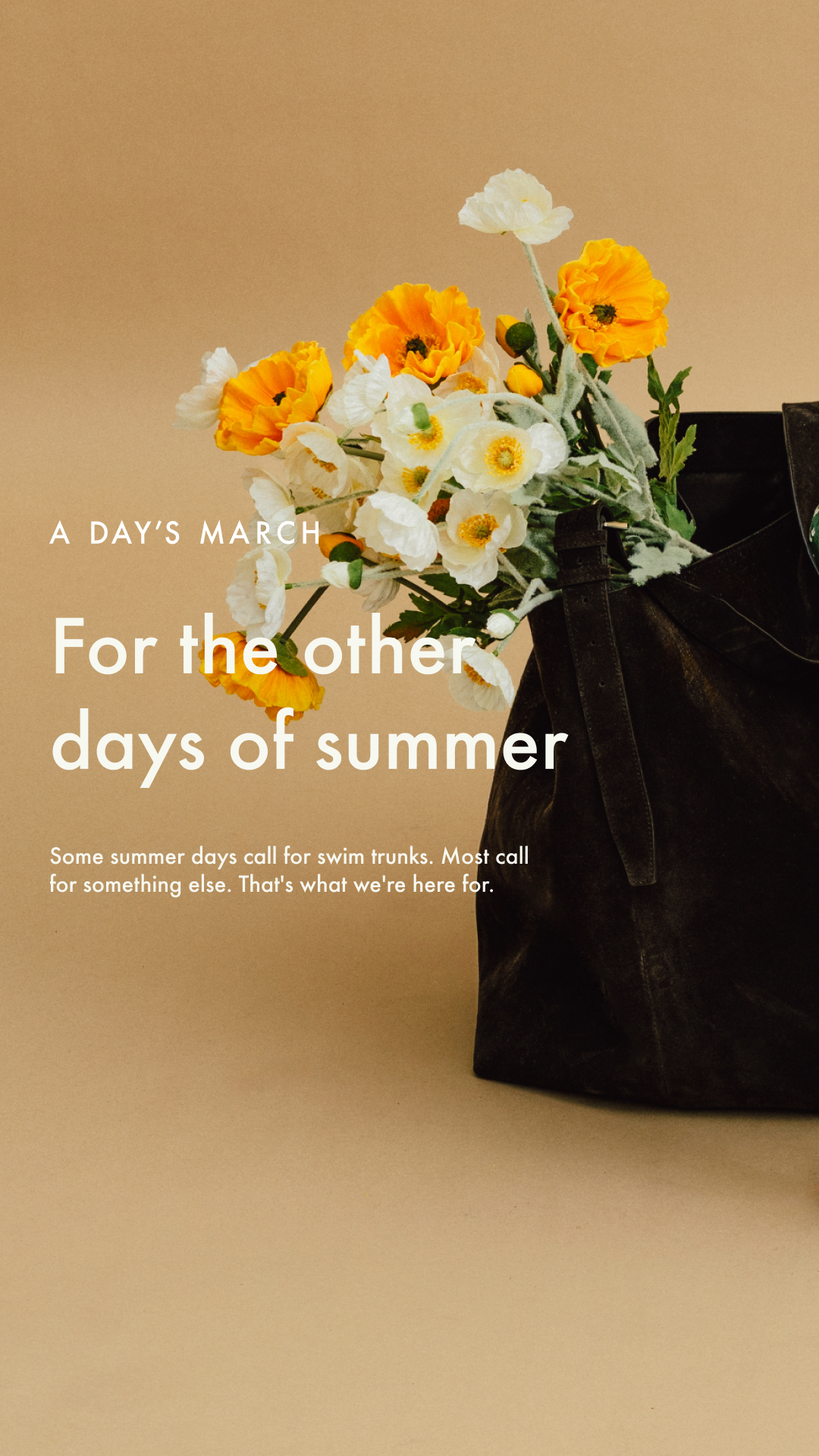A Day's March Facebook ad