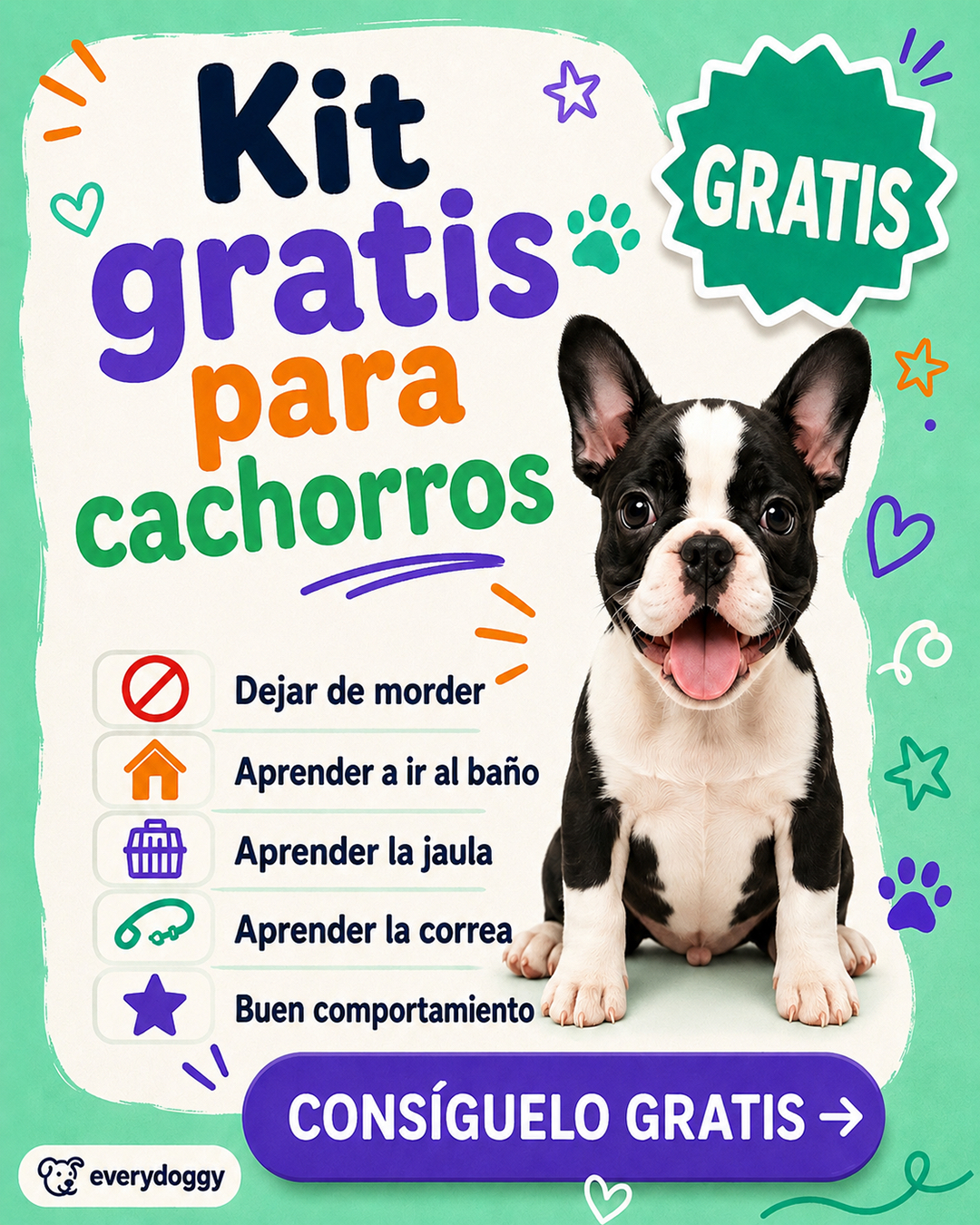 Ben Your Puppy Trainer Facebook ad