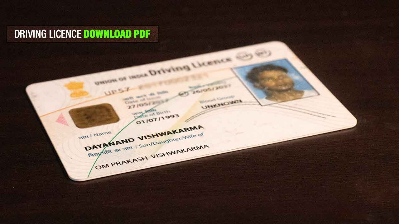 Driving License Facebook ad: Driving Licence Services