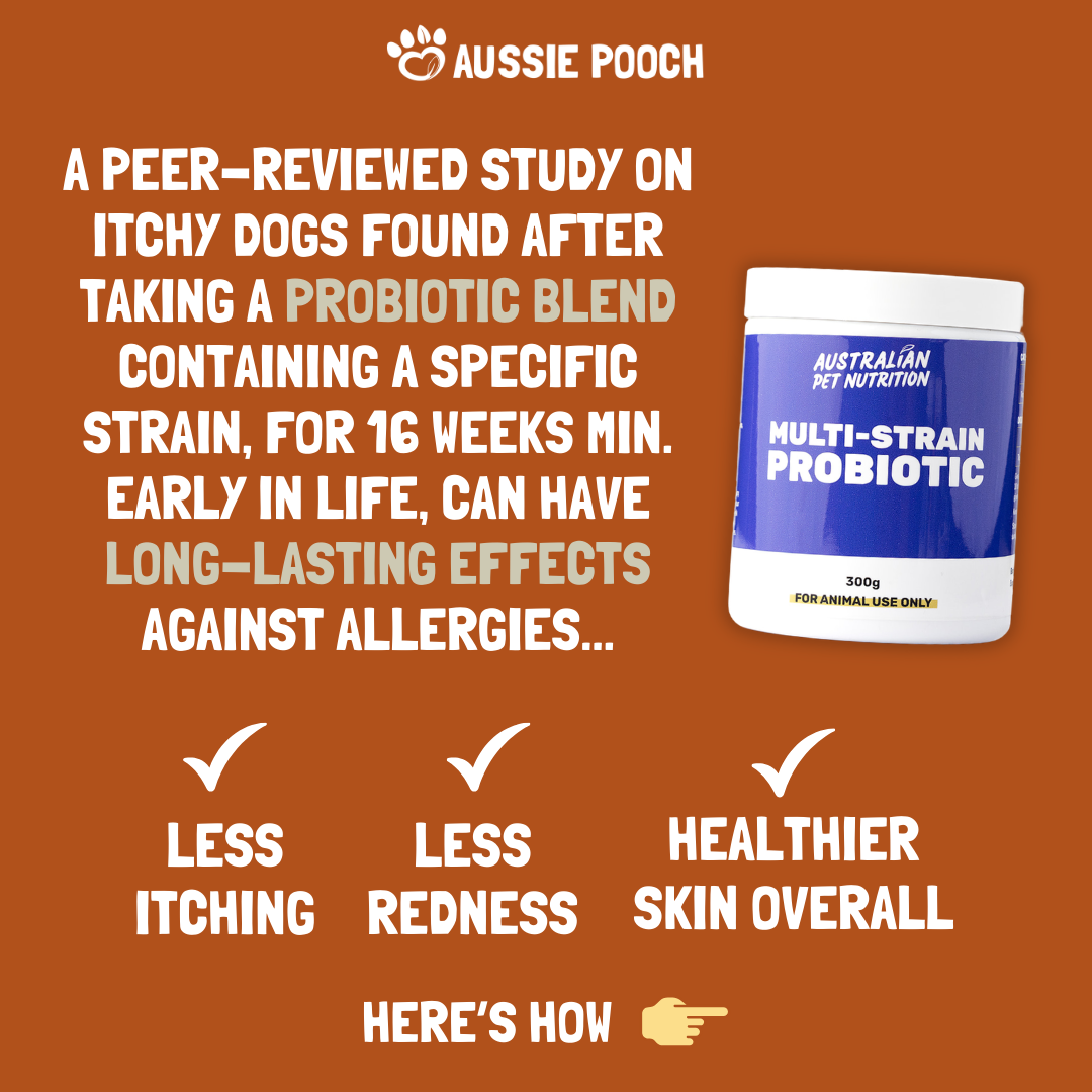 Aussie Pooch Nutrition & Wellbeing Facebook ad