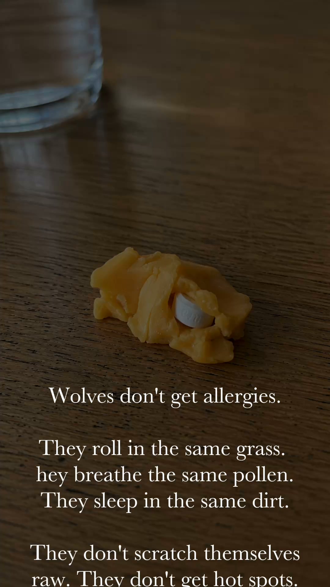 Dog Wellness Explained Facebook ad: Take Your Dog Off Apoquel And Give Them Itch Relief That…