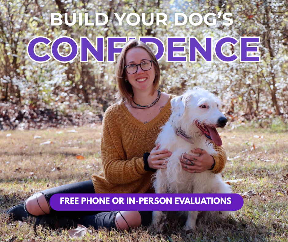 The Dog Wizard Chattanooga Facebook ad from Oct 25, 2025
