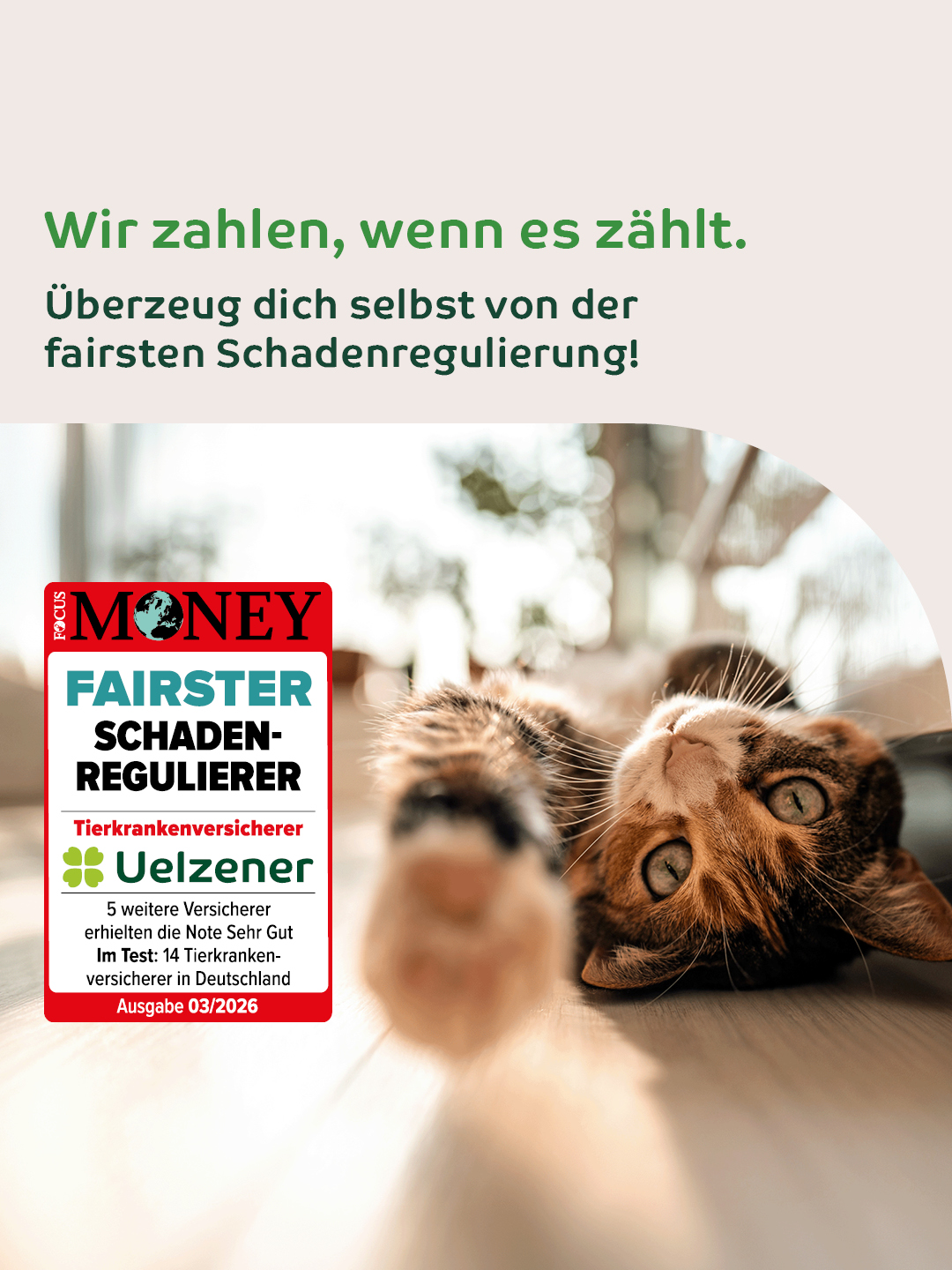 Uelzener Versicherungen Facebook ad