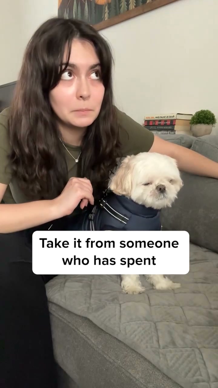 DoggyKings Facebook ad: 50% OFF + 1 FREE Lead Today
