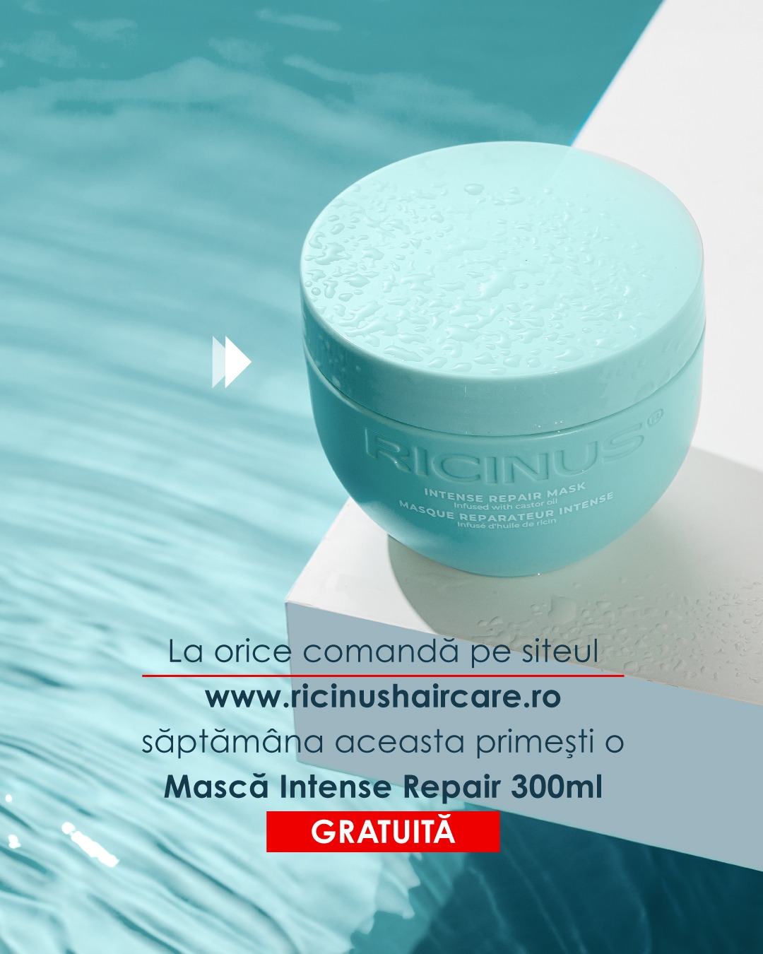 Ricinus Hair Care ad creative