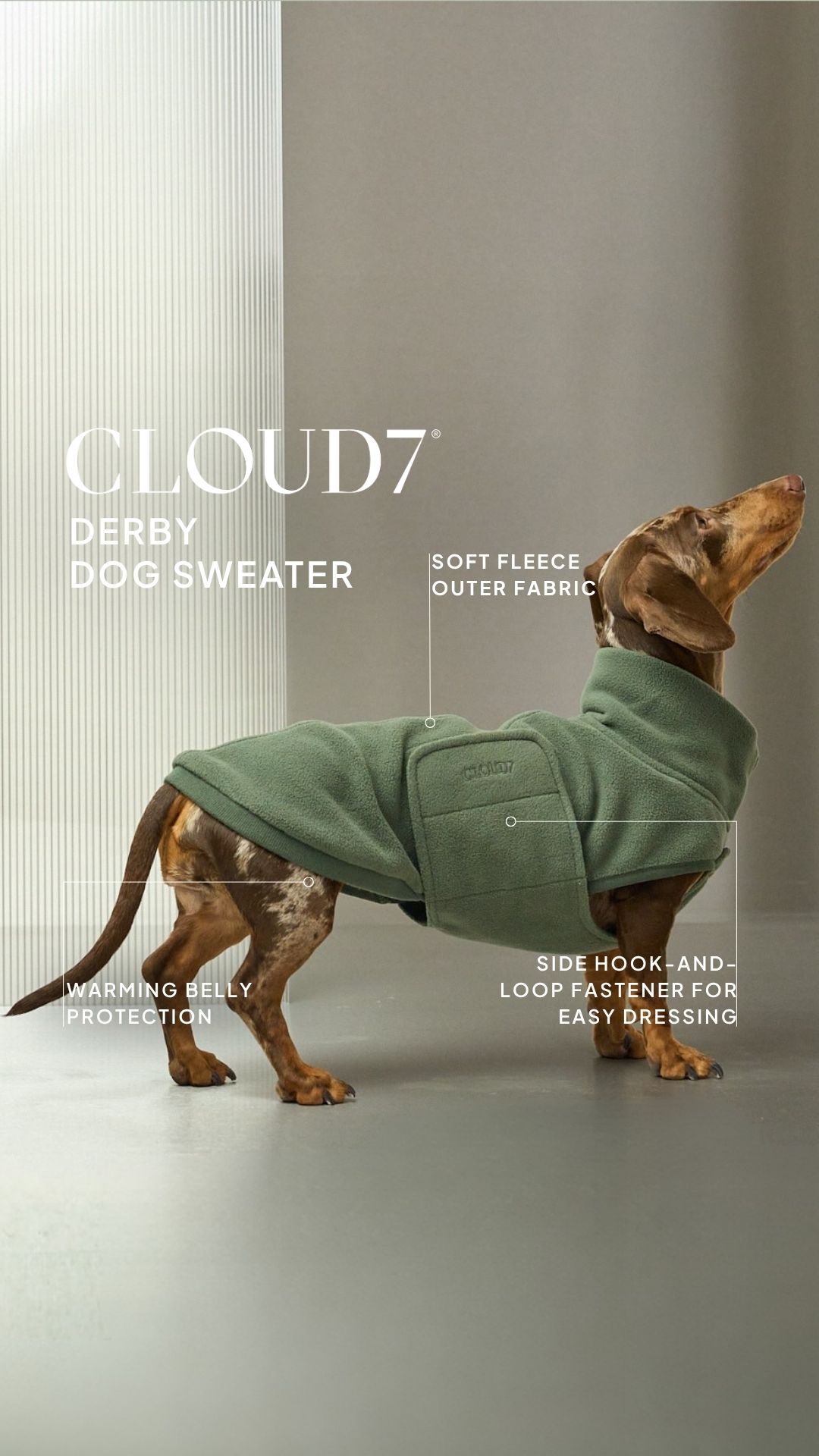 Cloud7 Facebook ad: Discover here