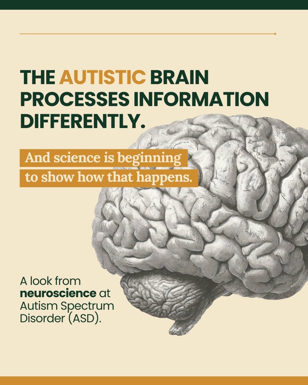 Greenfort Neurodevelopment Facebook ad