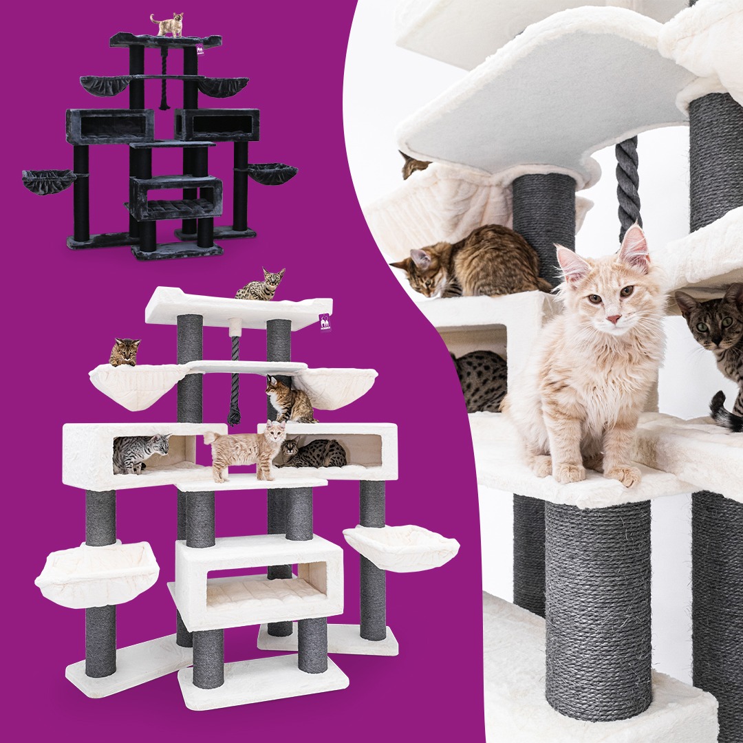 petrebels.com Facebook ad