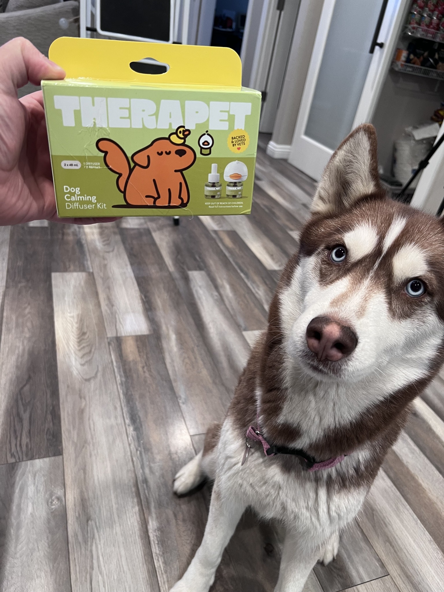 TheraPet Facebook ad