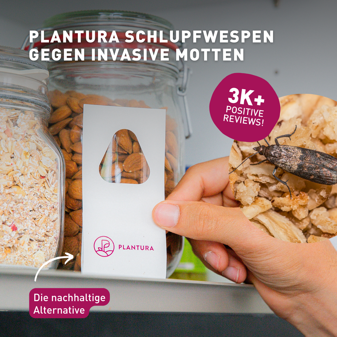 Plantura Facebook ad