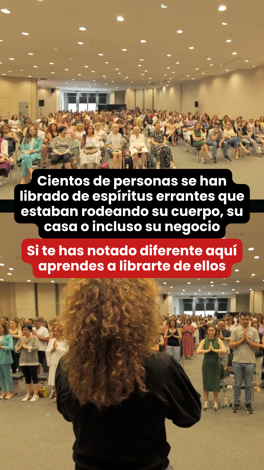 Diana Dahan Médium Facebook ad