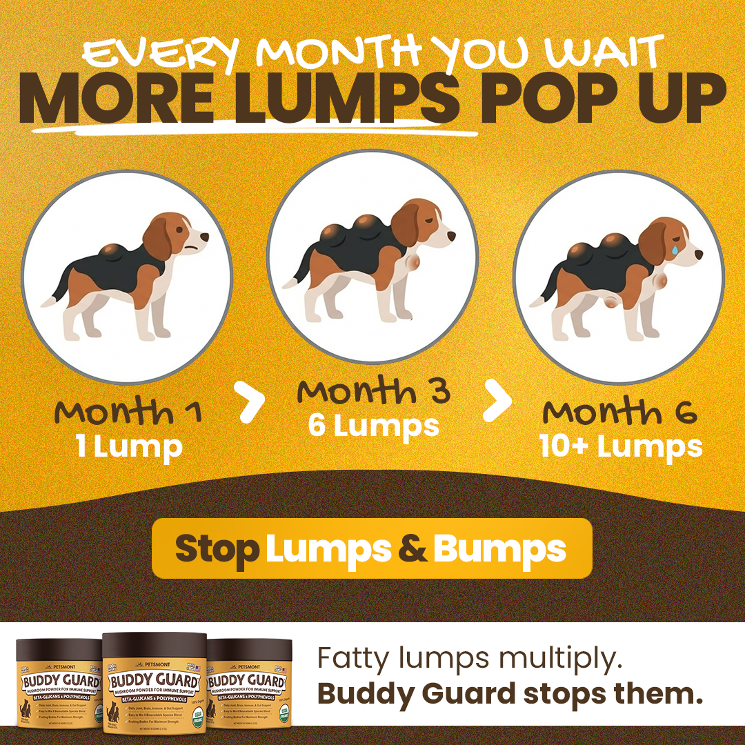 Petsmont Facebook ad