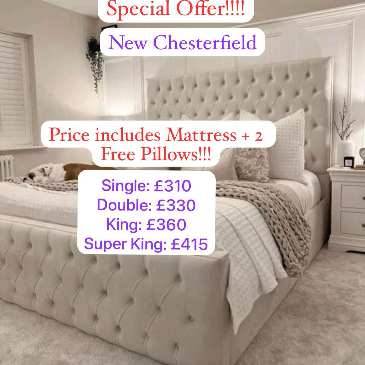 Bed4U Facebook ad
