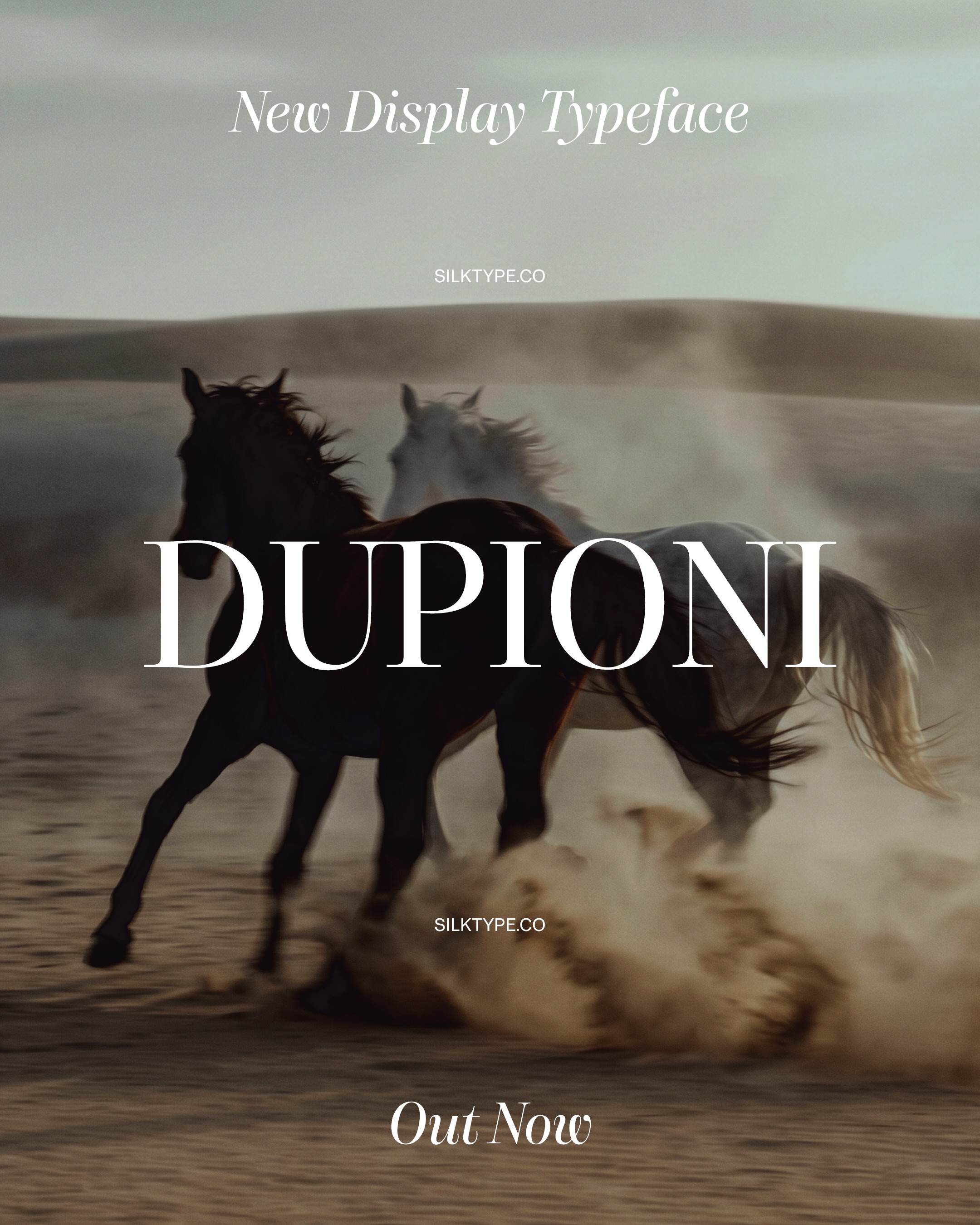 silktype Facebook ad: NEW TYPEFACE Out now