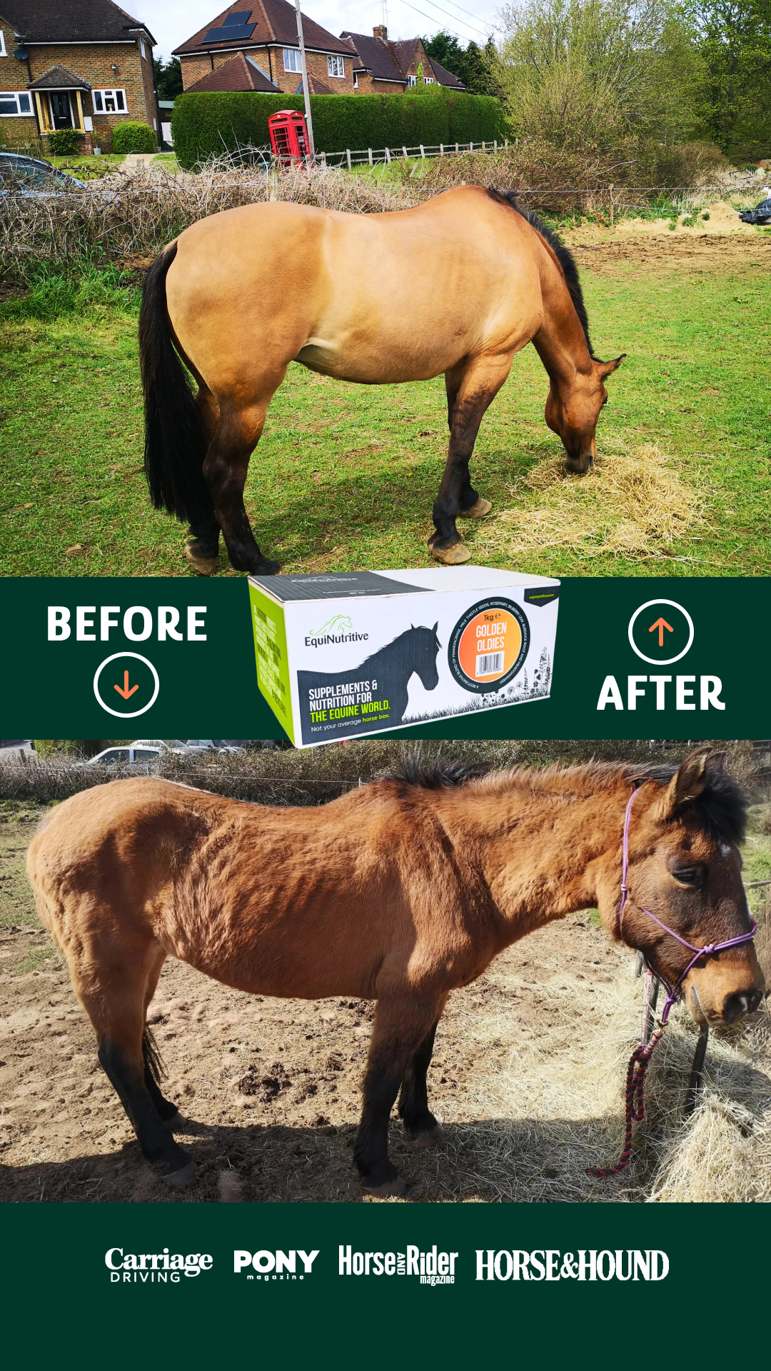 EquiNutritive Facebook ad