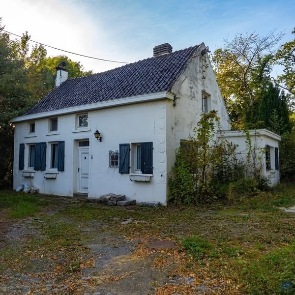 Shop Comfort Facebook ad: Abandoned Houses (Insights)